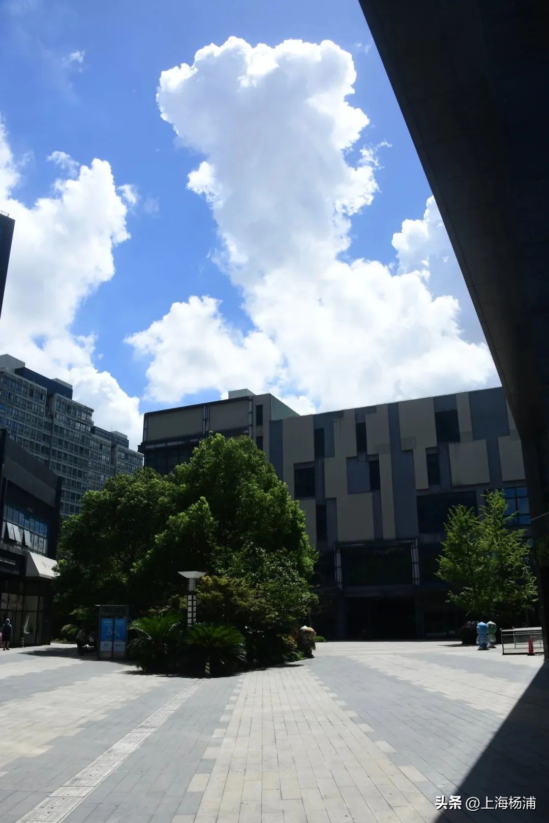 “水晶天”来了，你拍到了吗？