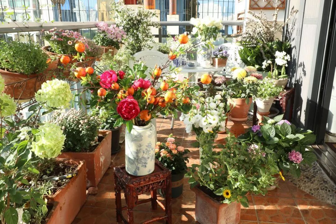 很多人羡慕的阳台,让别人羡慕的阳台