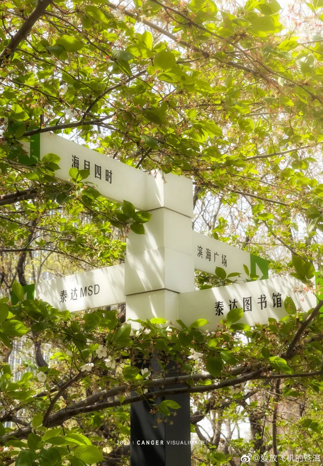 天津冬季遛娃,天津遛娃的免费公园