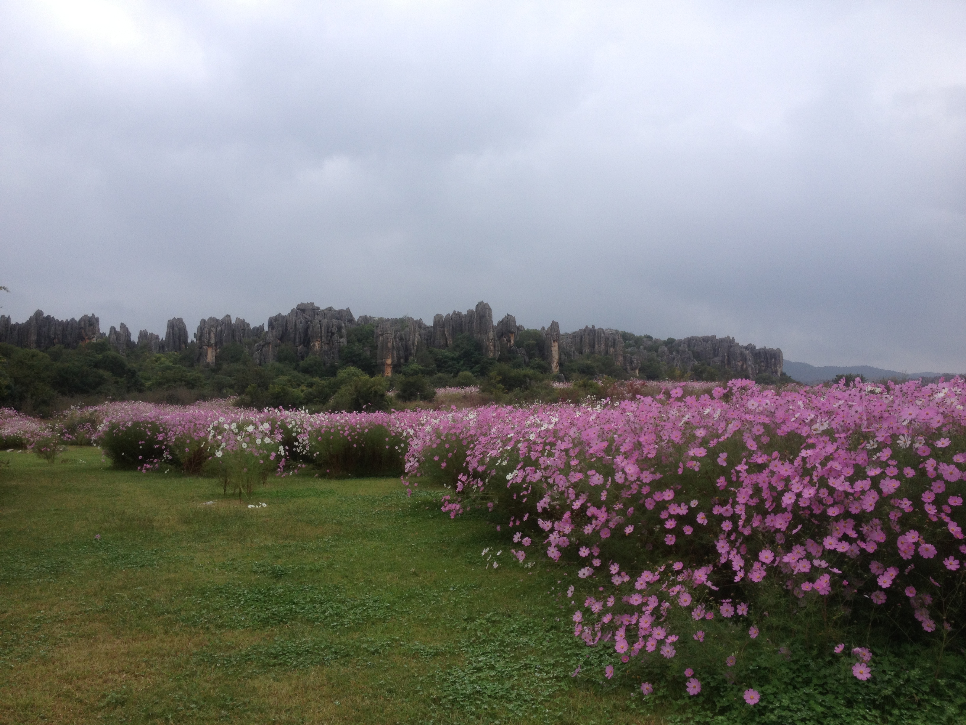 云南石林旅游必去的地方,云南石林可以游玩的地方