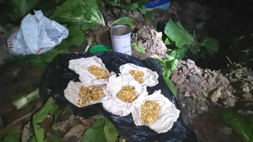 山西老农砍柴发现藏金洞,山西老汉发现山洞洞里藏金砖