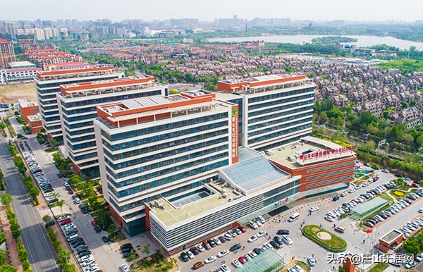 探春的深度解析,探春深度解析最新版