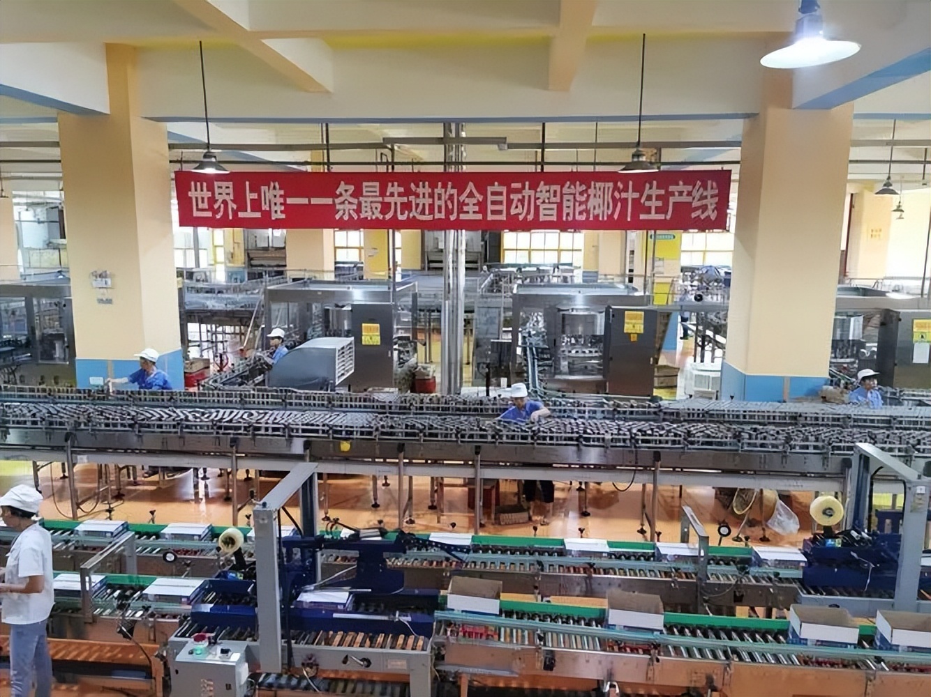 从小喝到大椰子汁广告争议,从小喝到大的椰汁广告图片