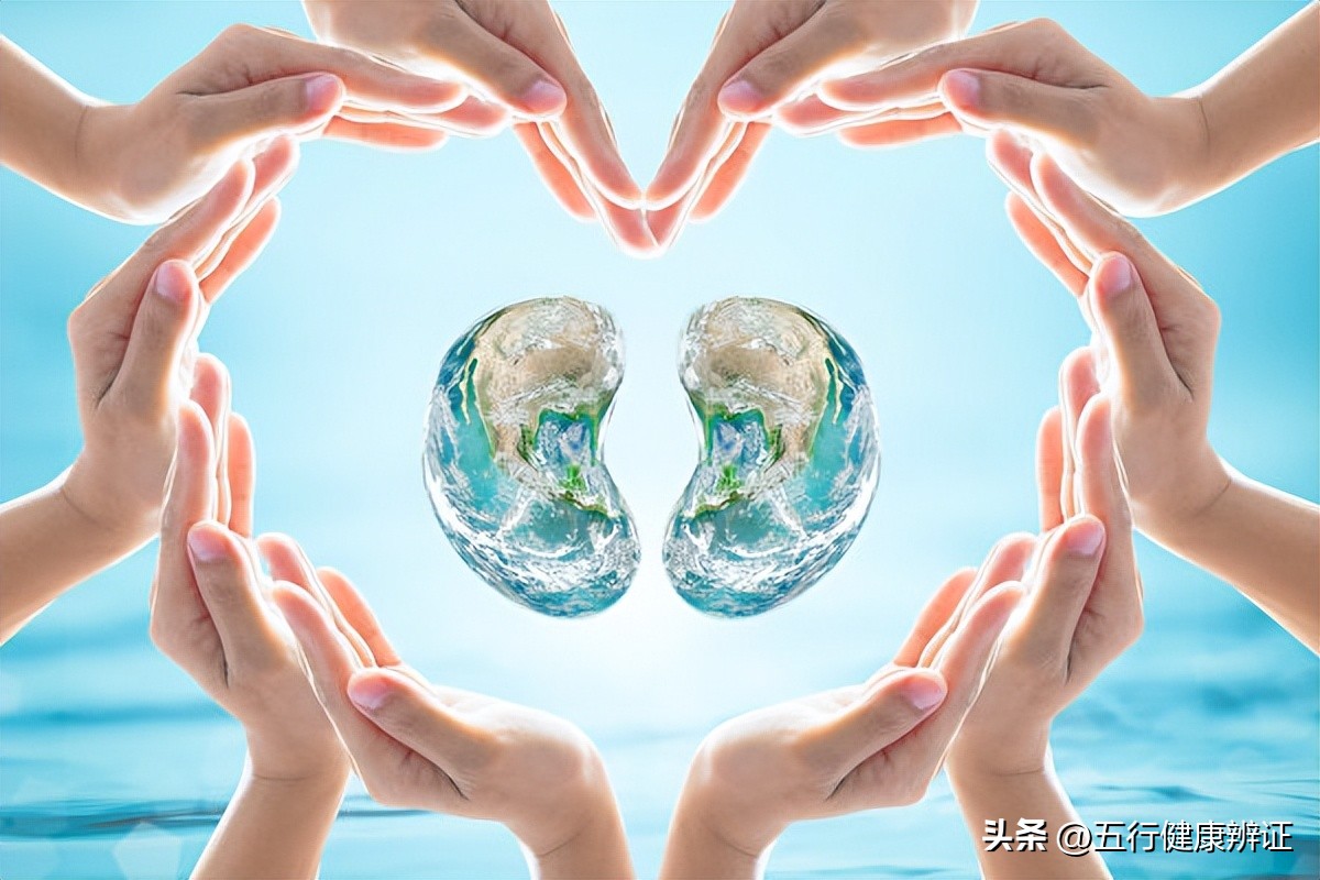 肺为肾之母中医解析,肺为五脏之阳脾为五脾之阴