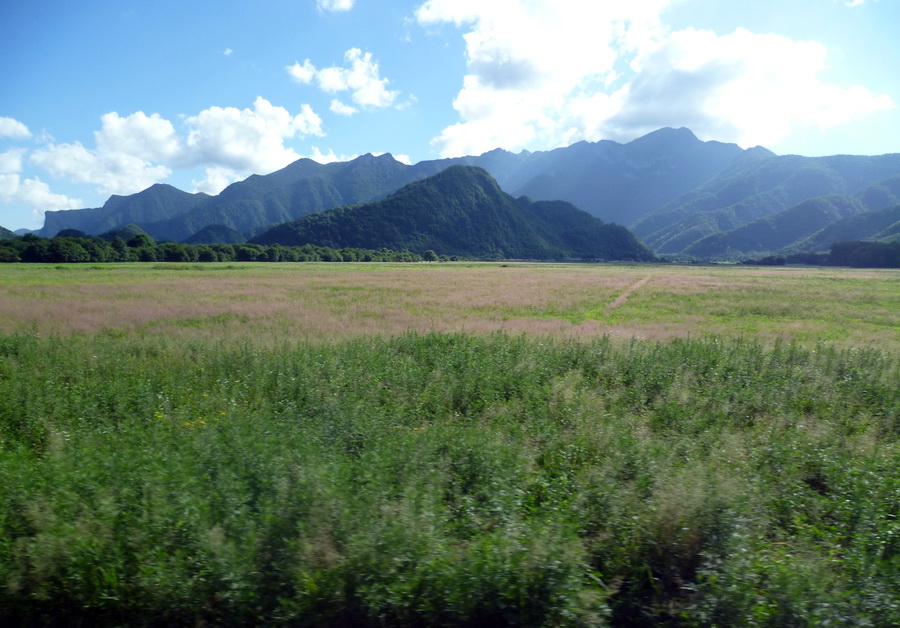 带你欣赏大九湖的美景,大九湖之旅