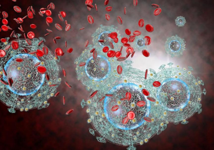 中医学的五脏学说肺,在中医五行中哪种原则是入肺的