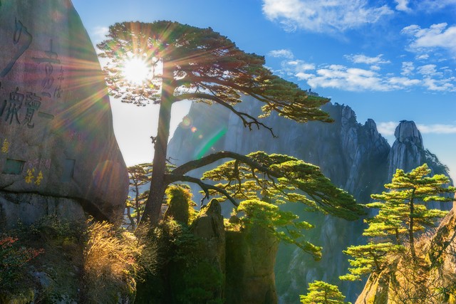 全国冬季最值得去旅游的10个地方,最适合去旅游的100个城市