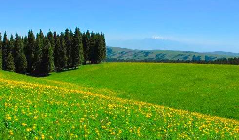 人生难得静心,人生难得清净心