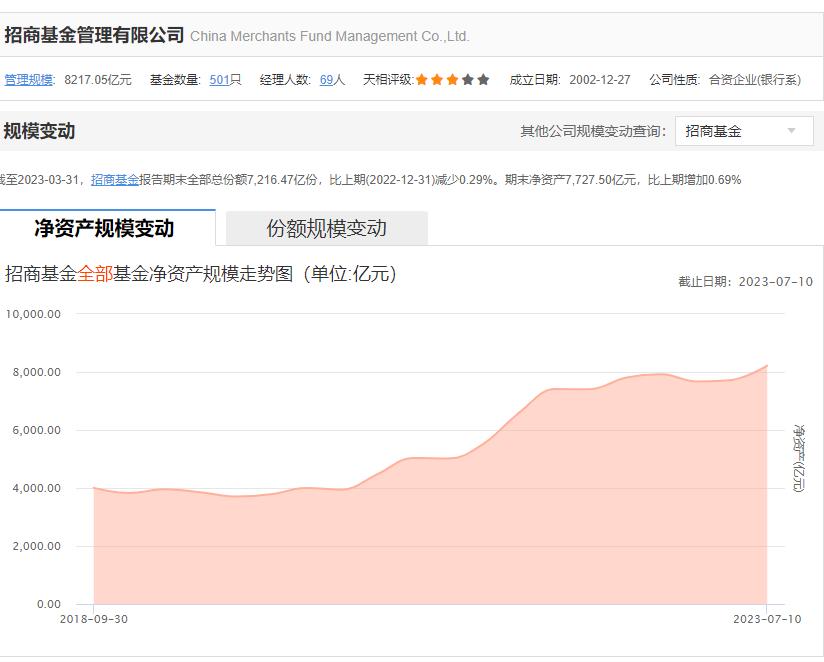 投资人亏本案例分析,投资人公司亏本了要赔吗