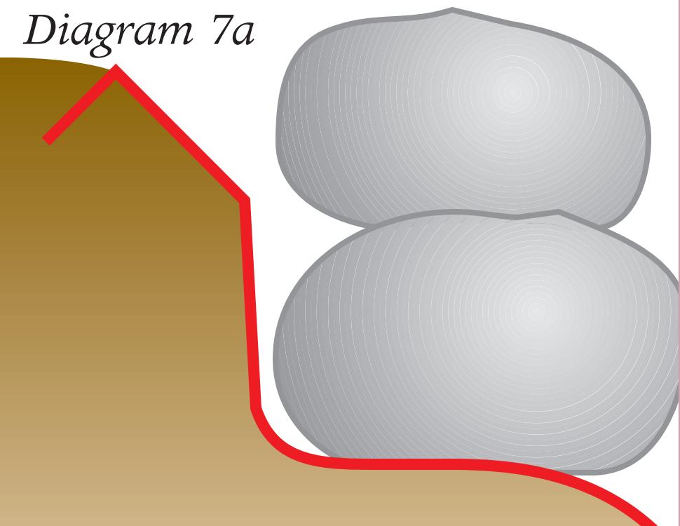 生态缸为啥不长藻不出绿水,生态缸为什么养不活虾
