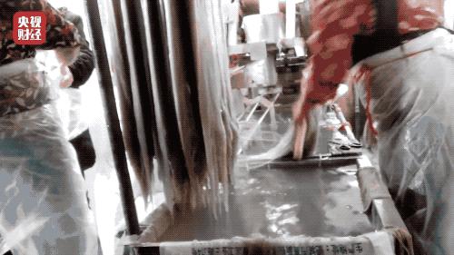 木薯粉食物中毒,木薯粉中毒新闻