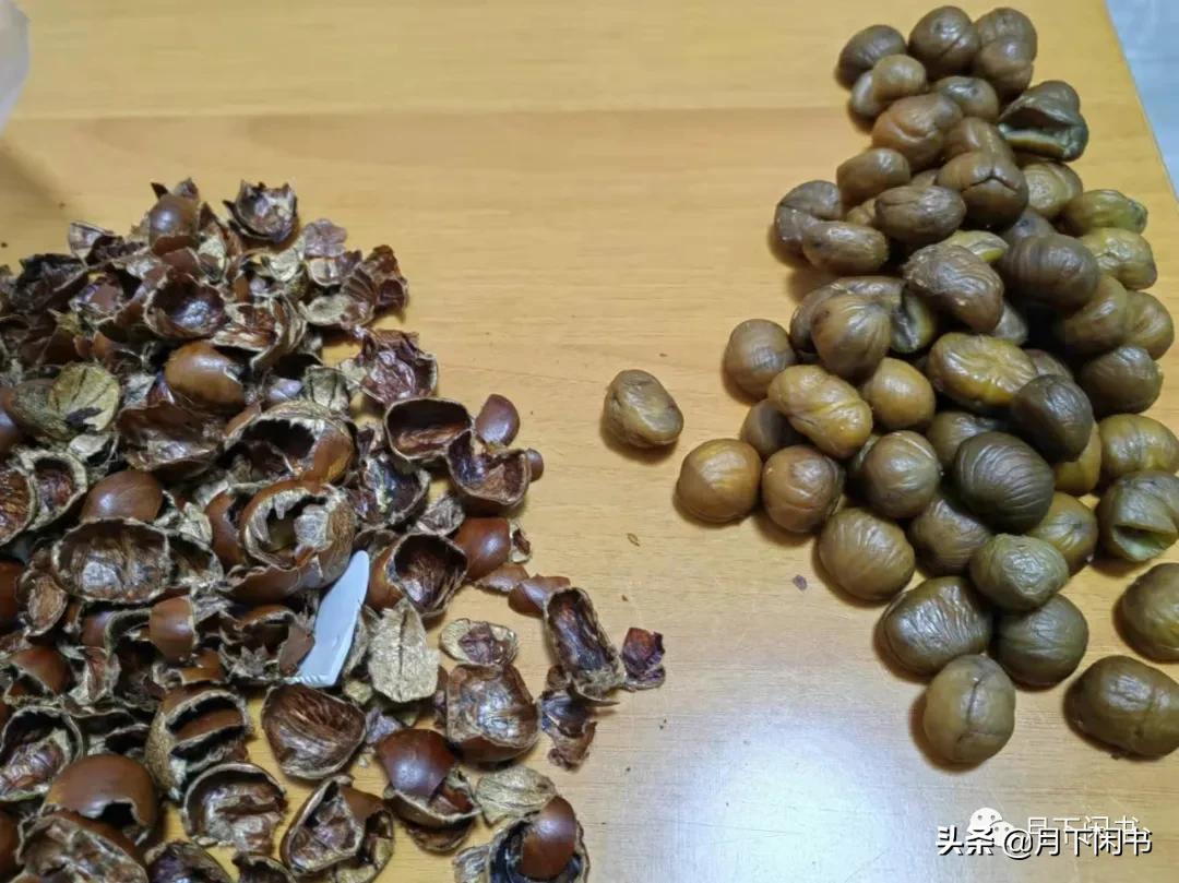 高*陪三**读日记65——寒冬中的暖意和稳稳的幸福