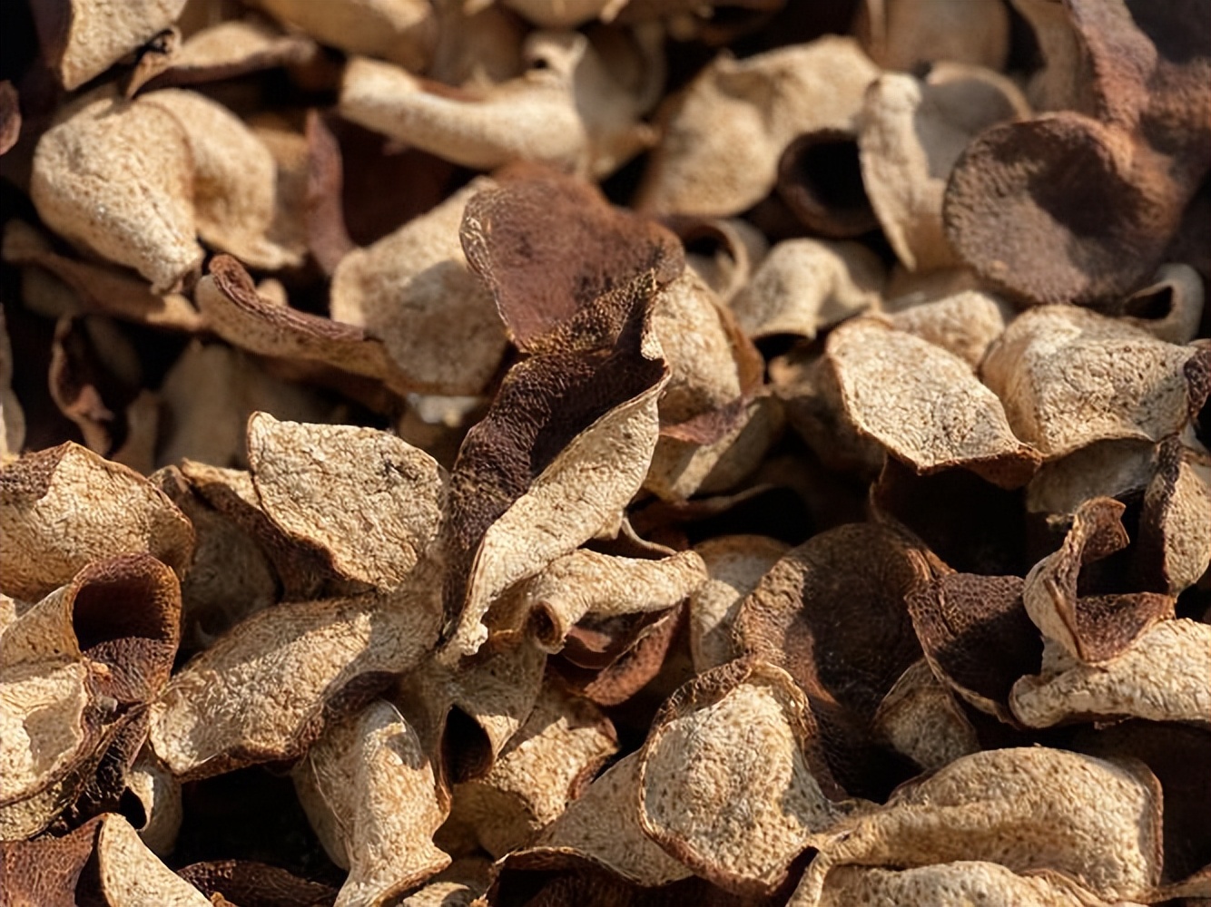 枸杞配什么中药泡茶喝使脾肾不虚,枸杞搭配什么泡开水最补肝肾阴虚