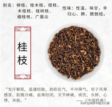 冠心病、心绞痛，1个古方，温阳化湿，散去寒凝，血流通畅心不痛