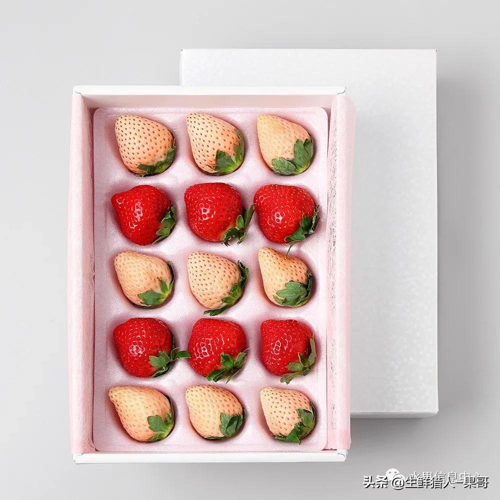 在水果中浆果是分哪几种,水果分类浆果