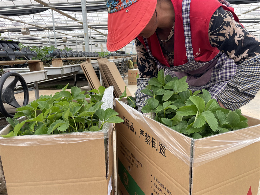 万企兴万村行动示范实践基地,万企兴万村行动案例