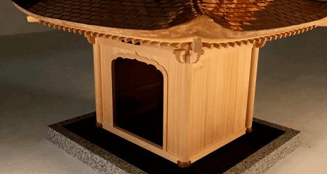 日本人花700万改造成狗,一个男子给狗建造25万的狗窝