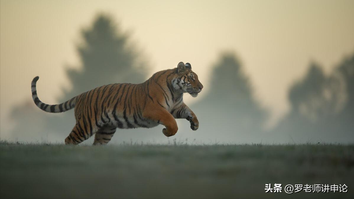 古人铁肩担道义的句子,重道义轻利益的名言警句