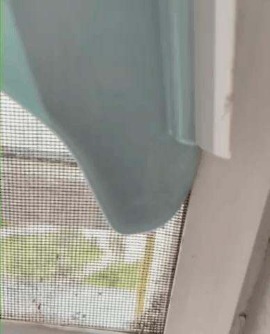 亲测清洁好物,清洁好物测评平价好用