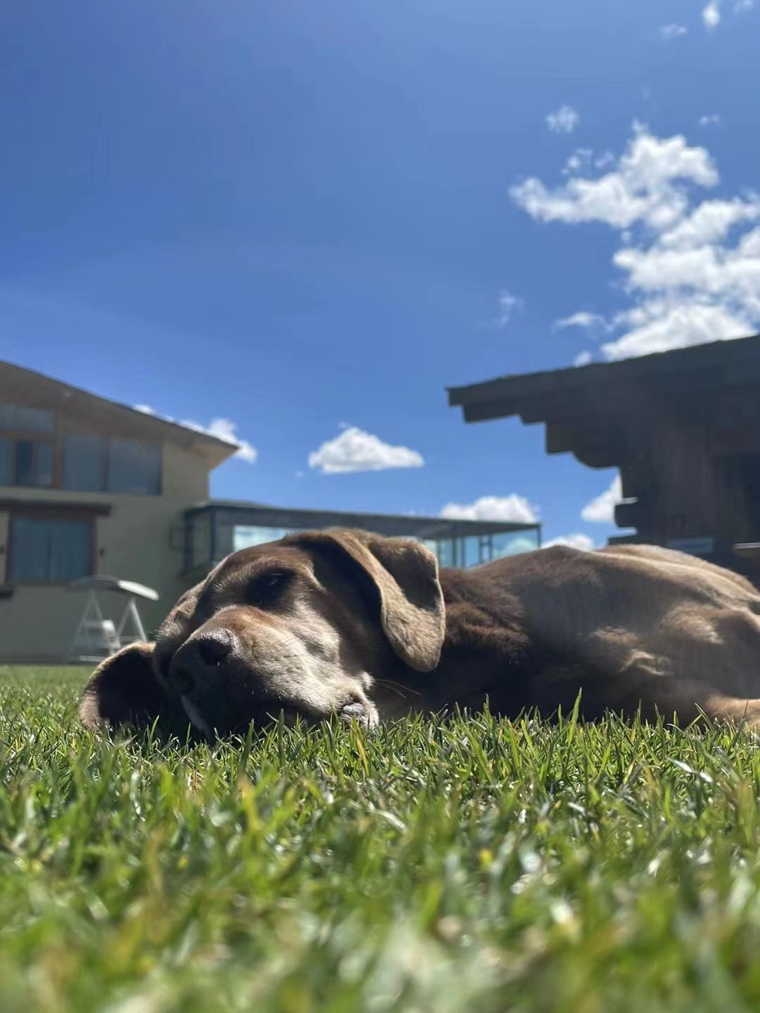 裸辞去了丽江和香格里拉,裸辞香格里拉