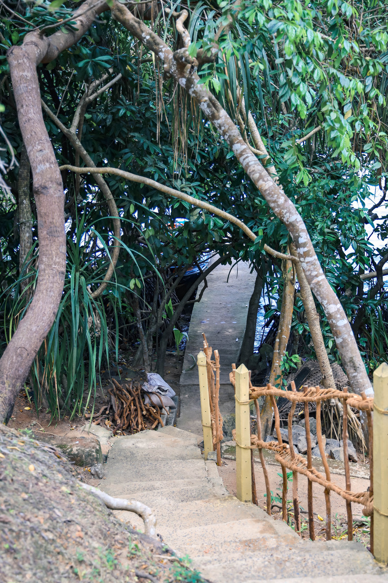 斯里兰卡旅游攻略必去景点,斯里兰卡旅游攻略最佳时间