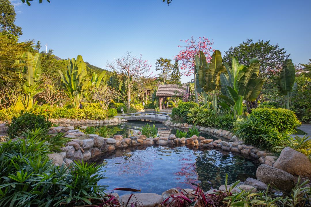 广东最值得推荐的温泉度假村,广东第一峰温泉是真温泉