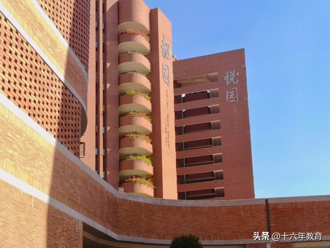 深圳中学好还是深圳高级中学好,深圳中学在深圳排名第几