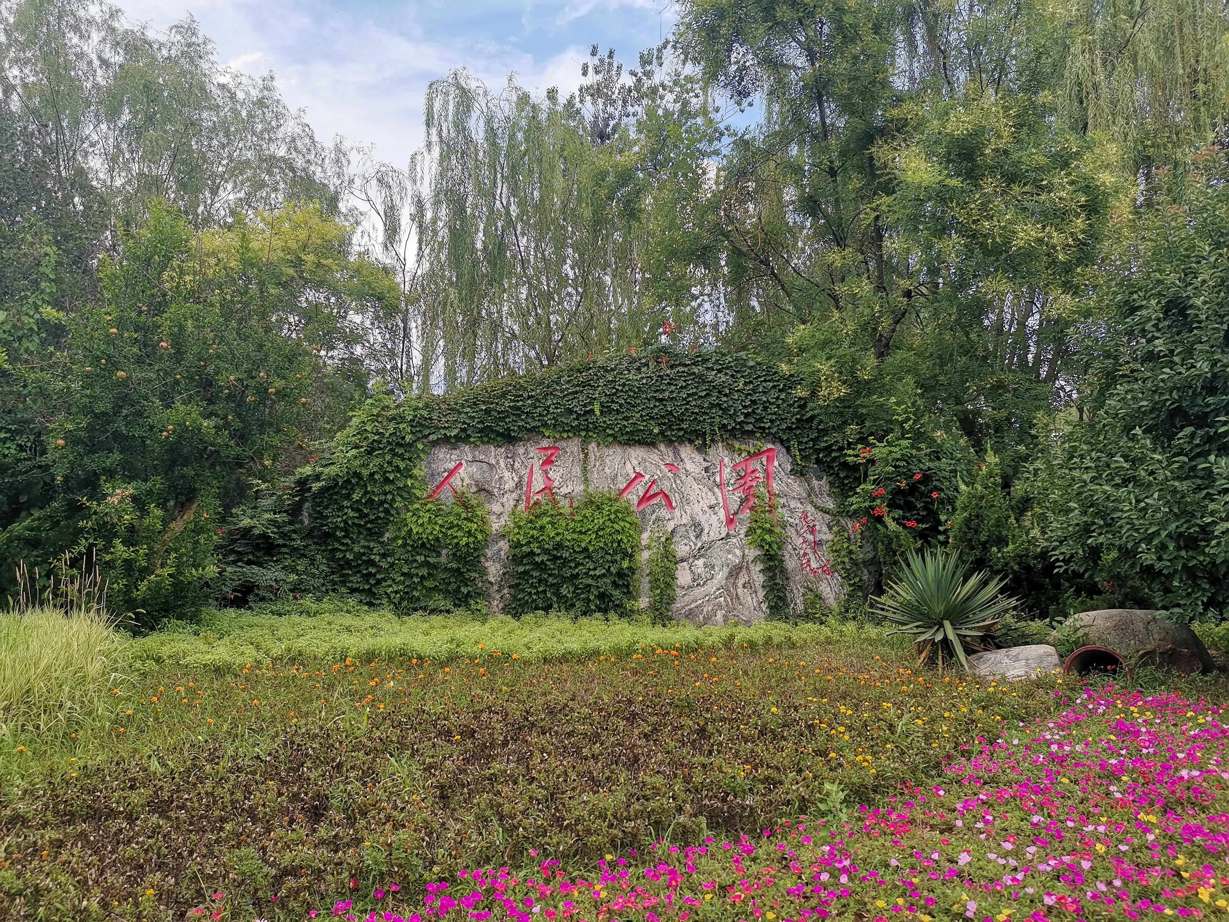 天津水上公园赏荷花看睡莲,天津水上公园荷花几月开花