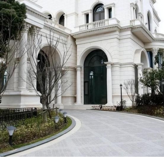 功夫巨星李连杰的资产,功夫巨星系列李连杰档案