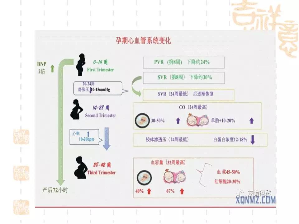 产科门诊给病人宣教课件,产科课件视频