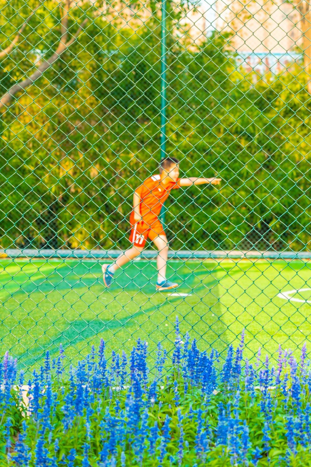 在尘世间的相遇,在城市的每一个角落不期而遇