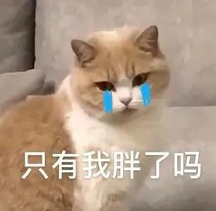 朋友圈文案可爱沙雕,适合朋友的沙雕文案