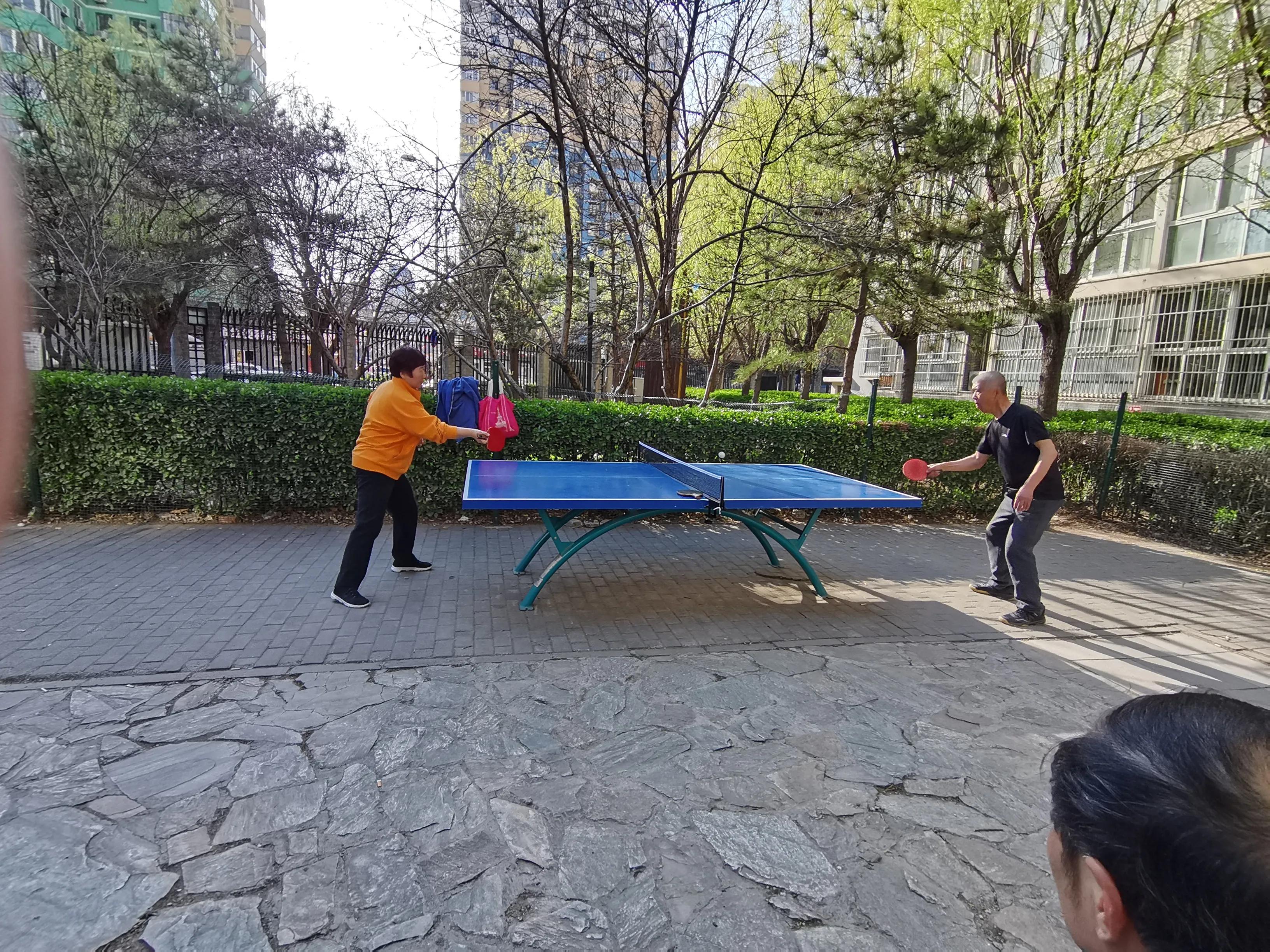 乒乓球成本低,乒乓球价格差距大