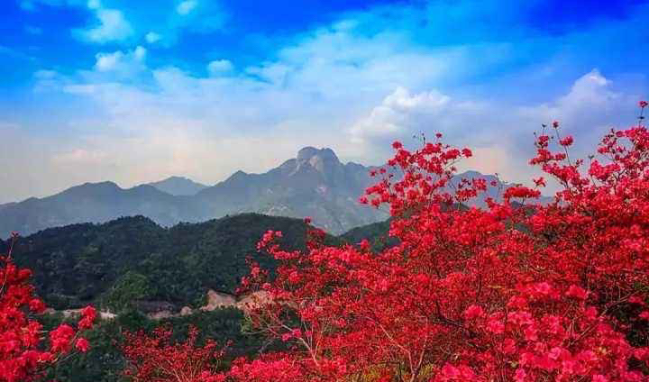 高高的紫云山,我们的青春故事曾在这里演绎