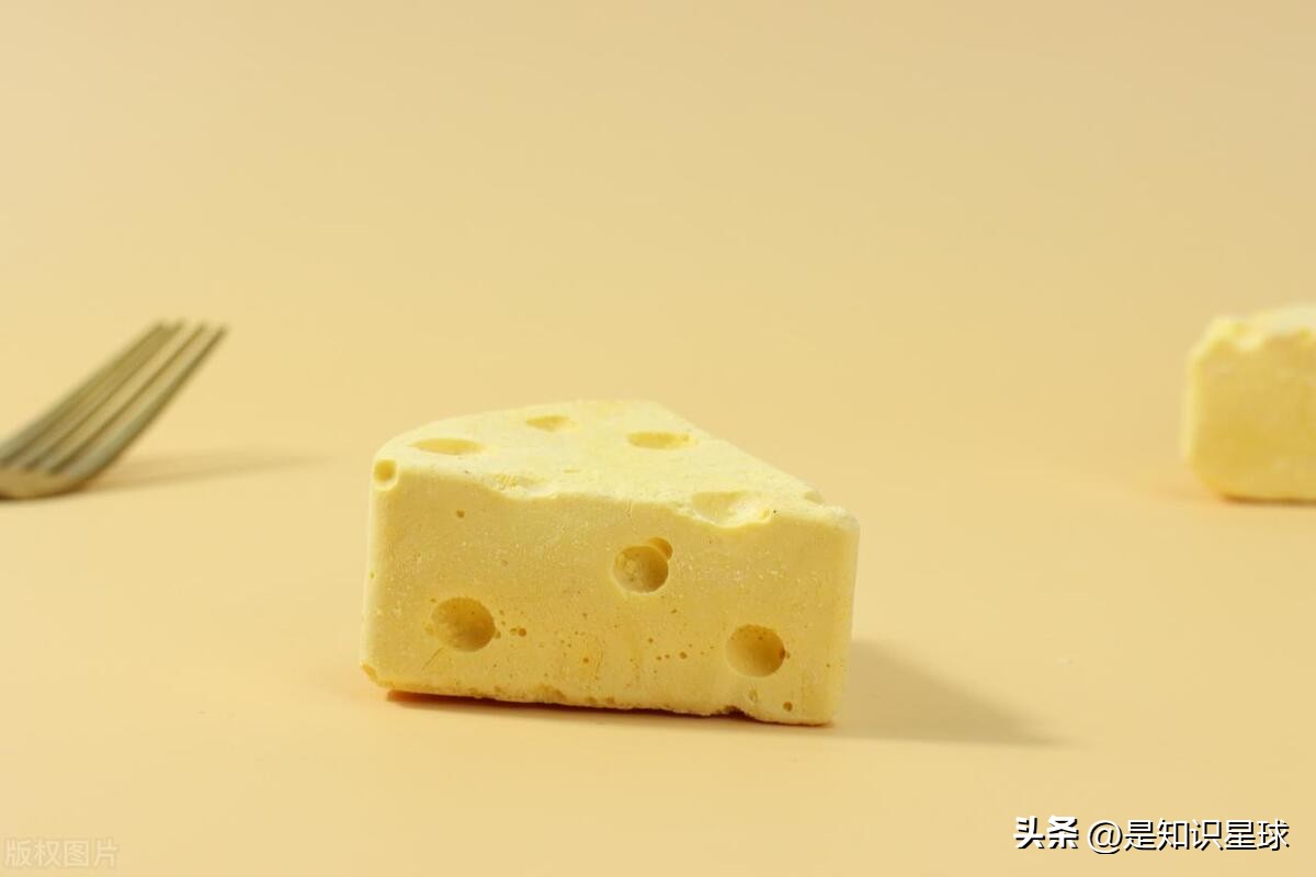 熊猫指头的特点,熊猫手指有几个指头