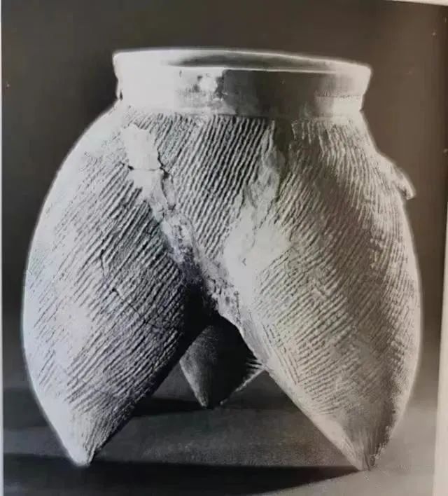 涓浗濂冲皢鍐涘涓彂鐜颁竴绉嶉櫔钁搧,鍟嗘湞濂冲皢鍐涘鍙戞帢