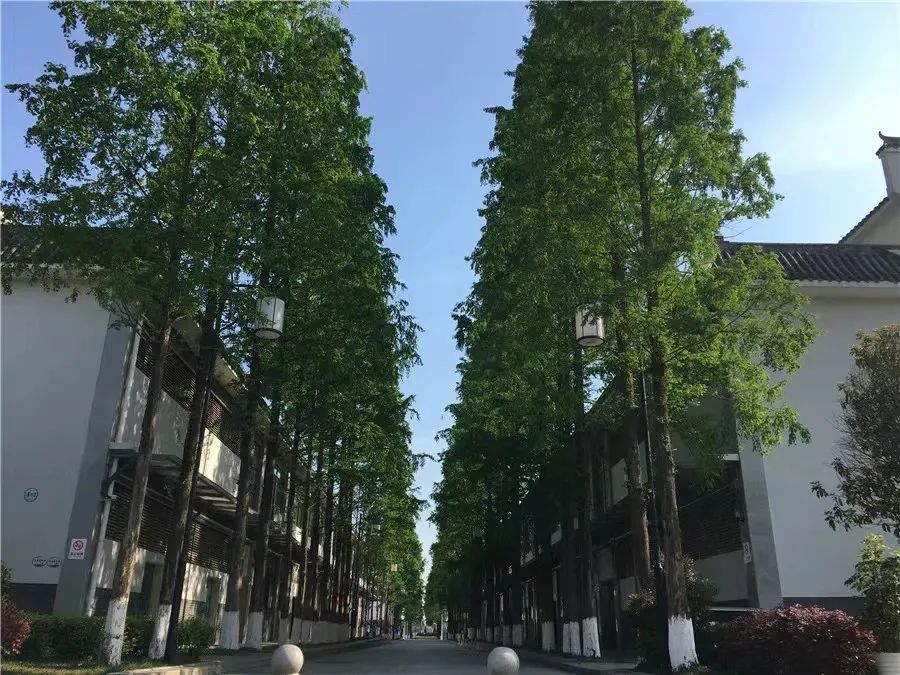 k12学校和k15学校的区别,k12教育有哪些学校