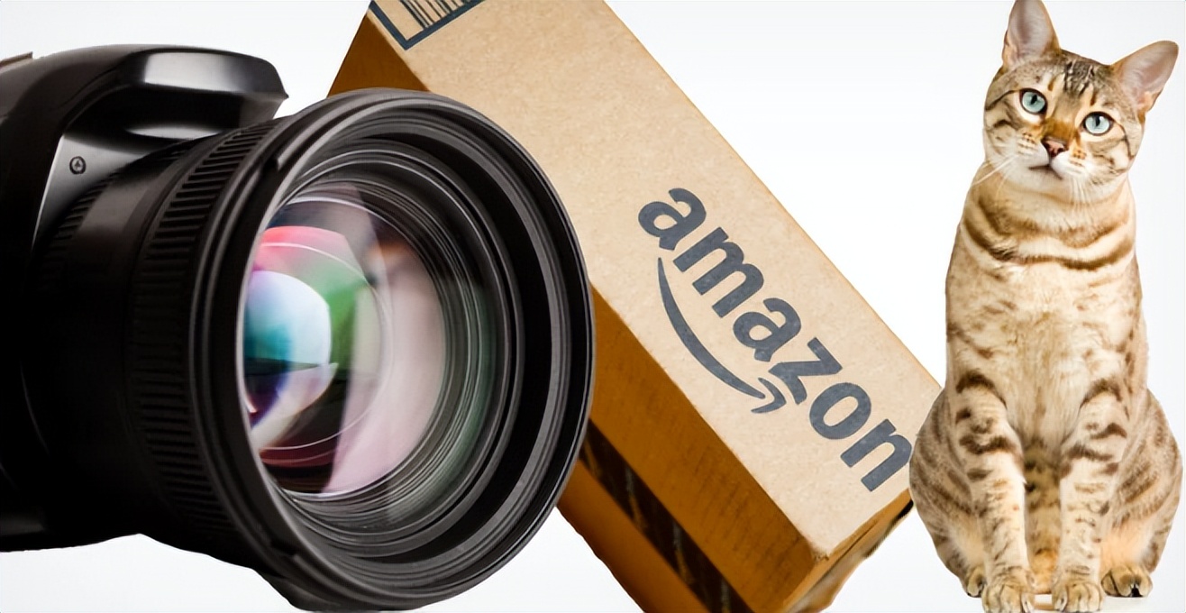 源达日本海外仓聊聊，亚马逊货不对板猖獗，竟有人买电脑收到猫粮