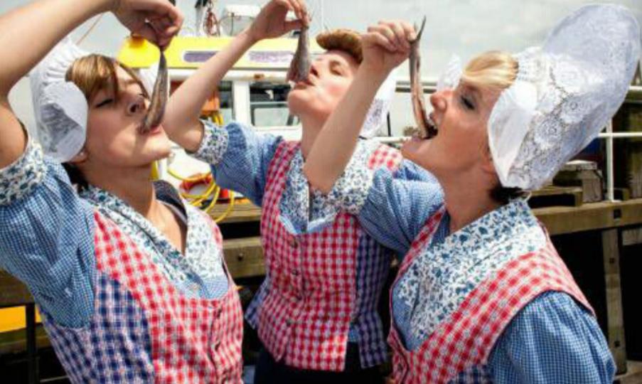 荷兰17世纪,荷兰17世纪有什么