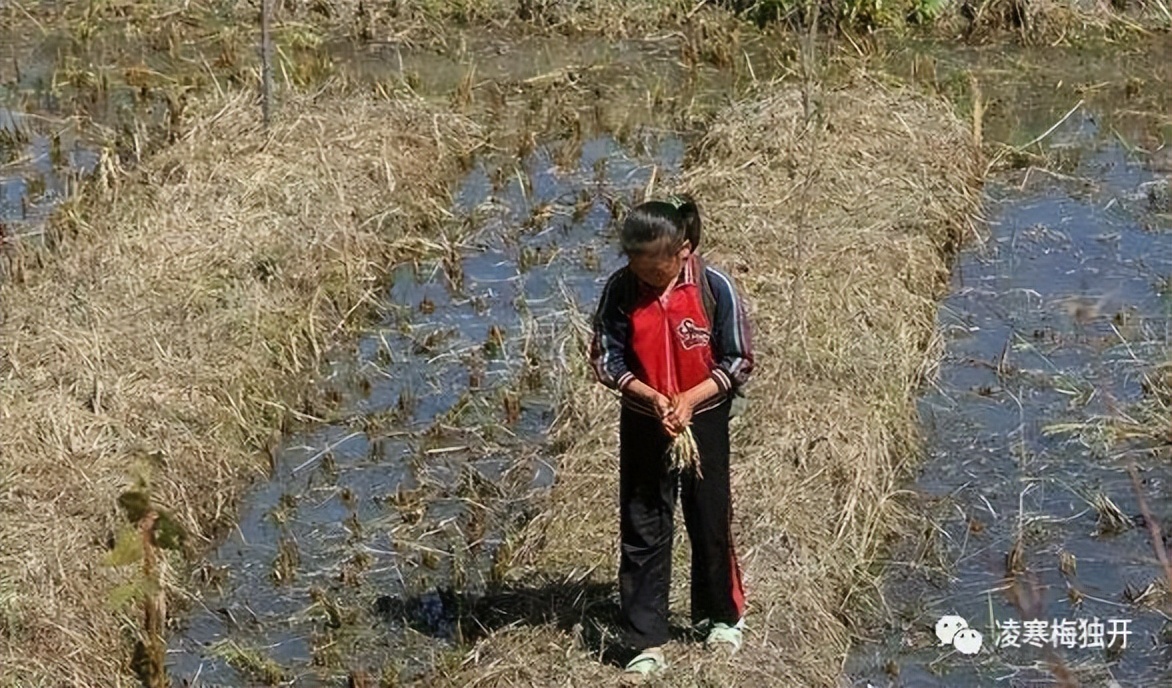 我的奇趣岁月——小学