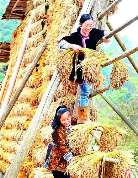 目前云南昭通有多少作家,昭通十大作家