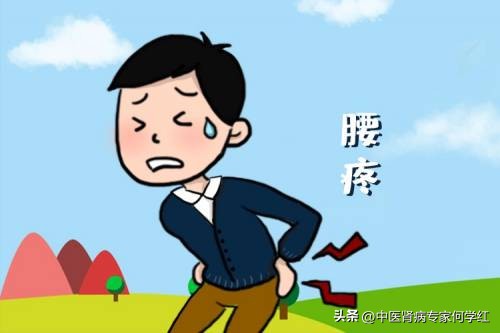 补肾降尿蛋白的中药有哪些,降尿蛋白中药方剂