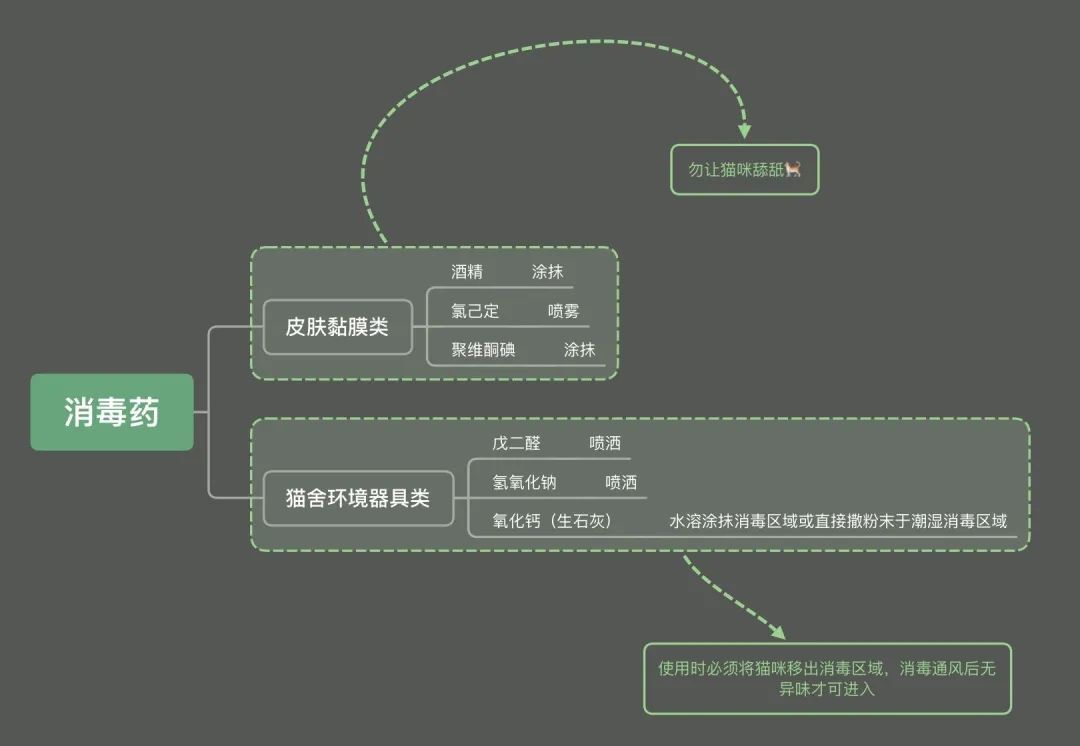 与猫共处的日子,如何给猫屋消毒