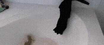 女孩子看见照片后就发个哈哈哈,姑娘不是什么照片都能随便发的