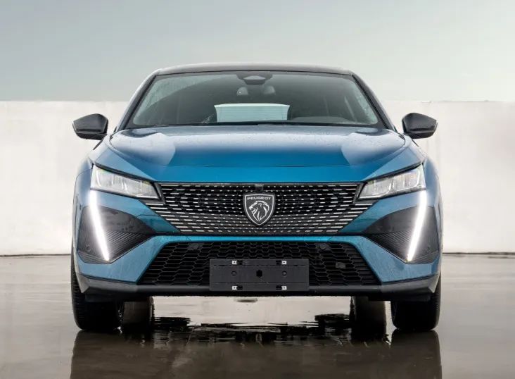 法国车二手车值不值得买,只有真正懂车的才能买法国车吗