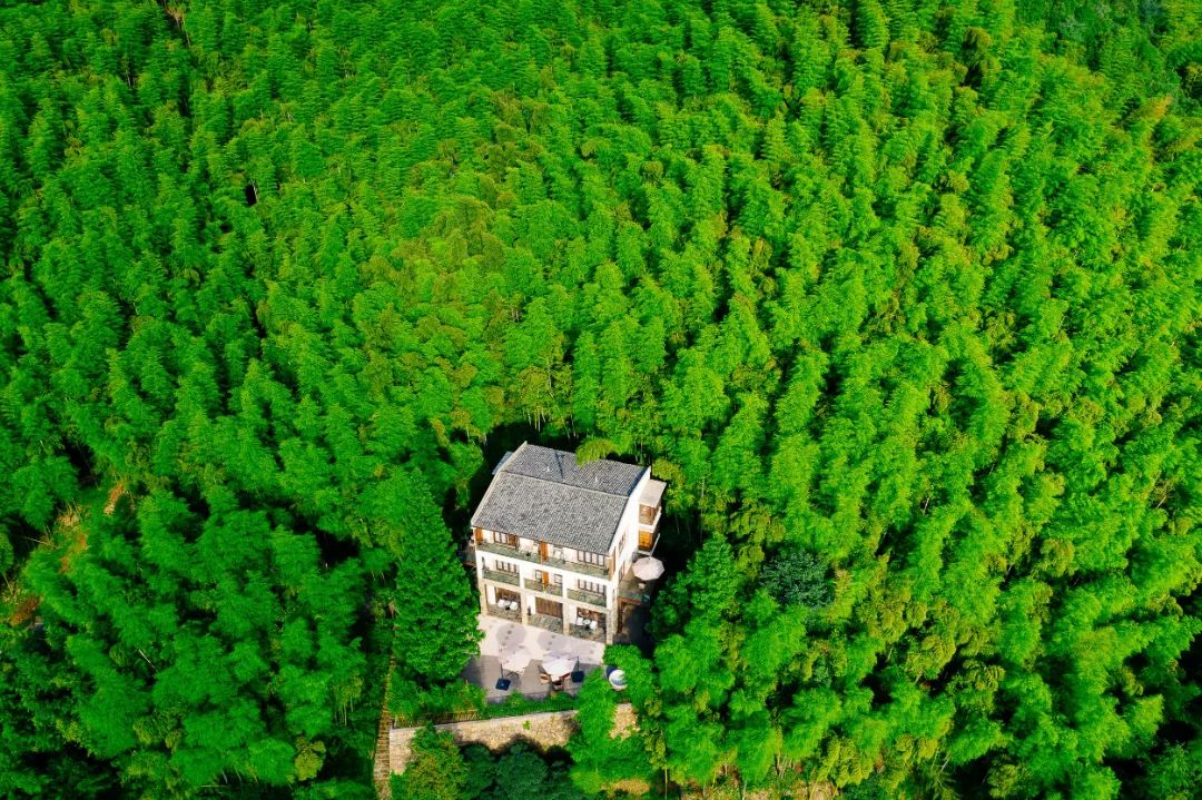 适合冬天去的民宿莫干山民宿,莫干山民宿天花板体验之旅