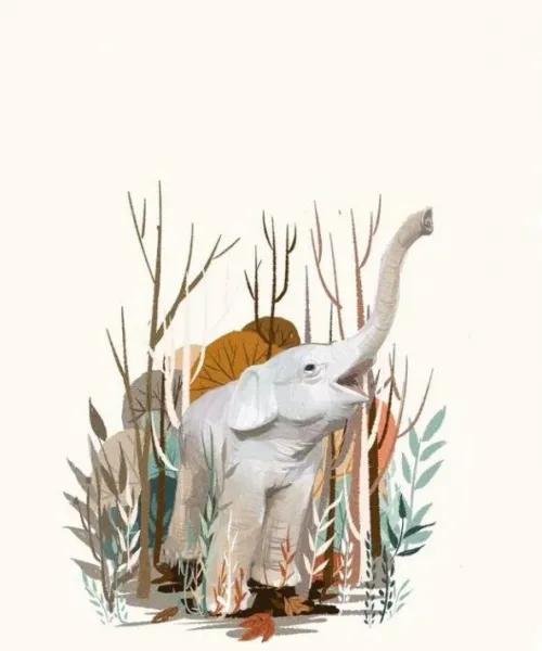 大鹏教育网上学习是真的吗,大鹏教育ps学习免学费靠谱吗