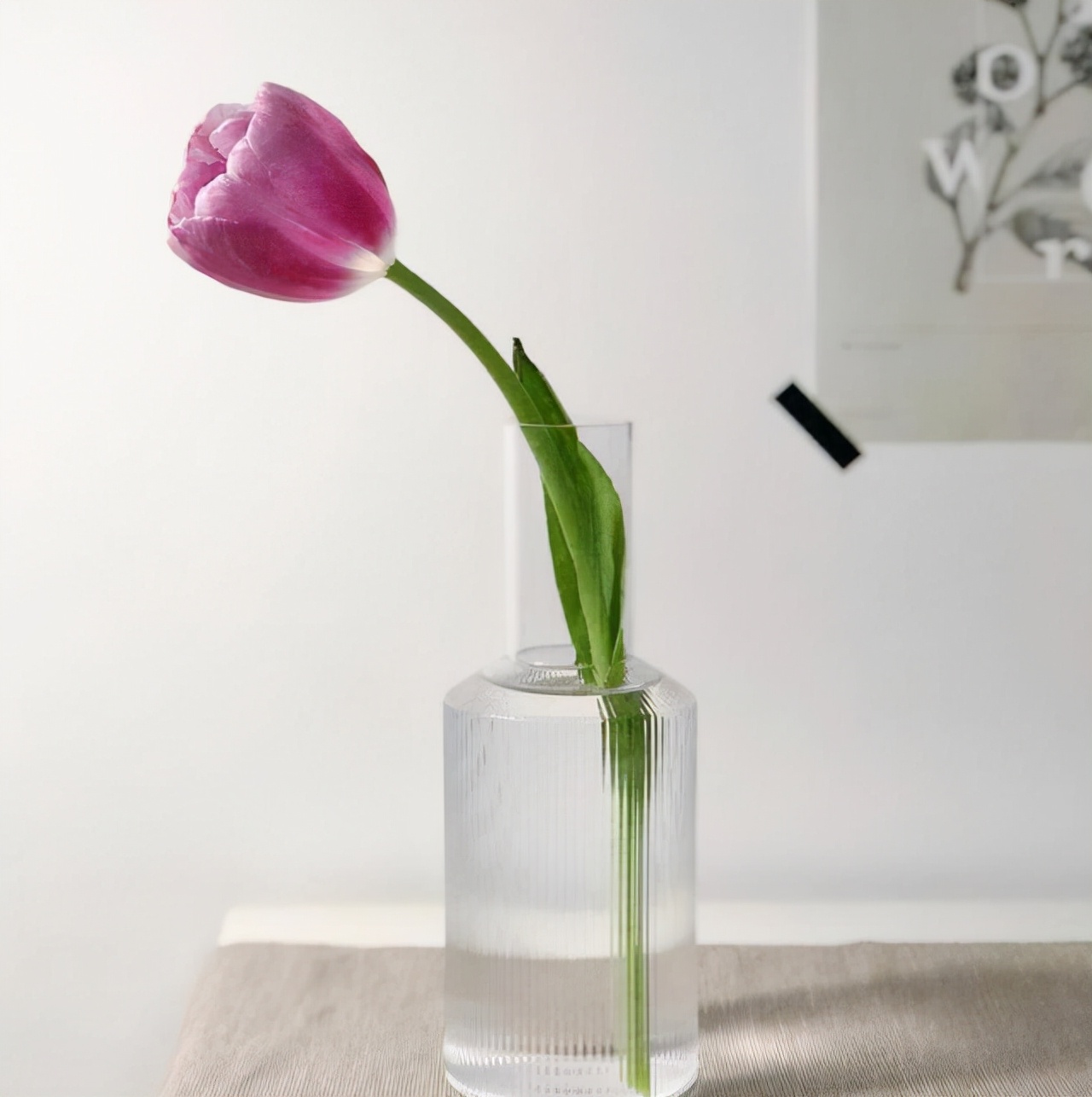 她拒绝断舍离，入住三年依旧把家收拾得井井有条，堪称教科书收纳