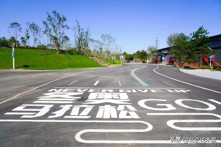 运动萌兽主题公园冬季,天气暖和了野地里撒欢