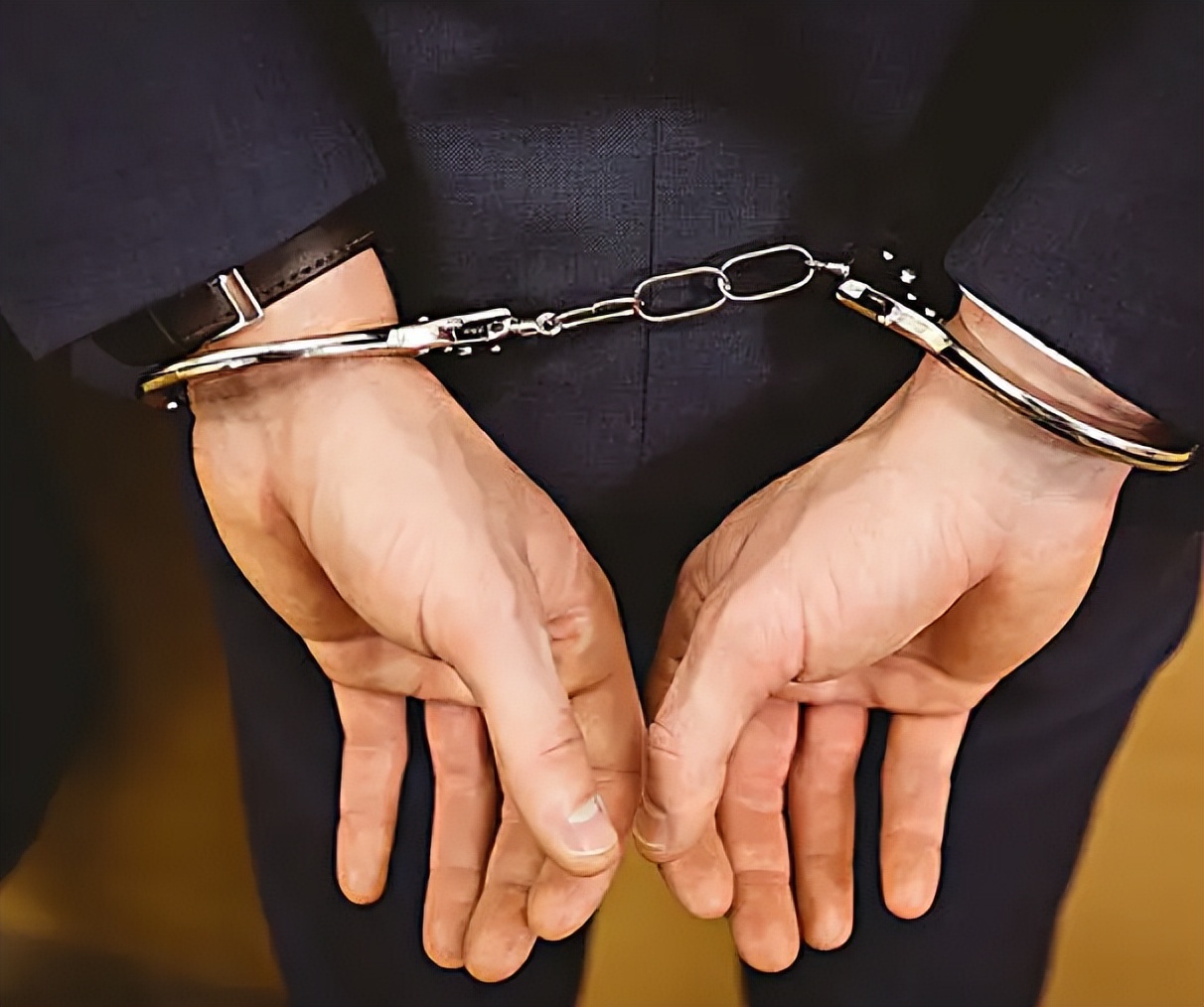 葵花药业创始人,葵花药业发家史